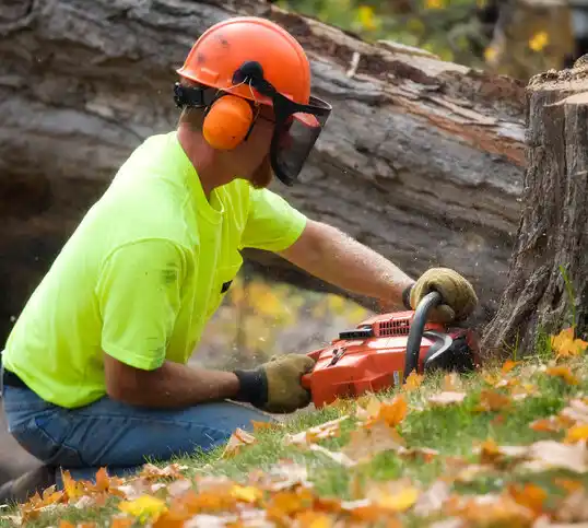 tree services Odenton